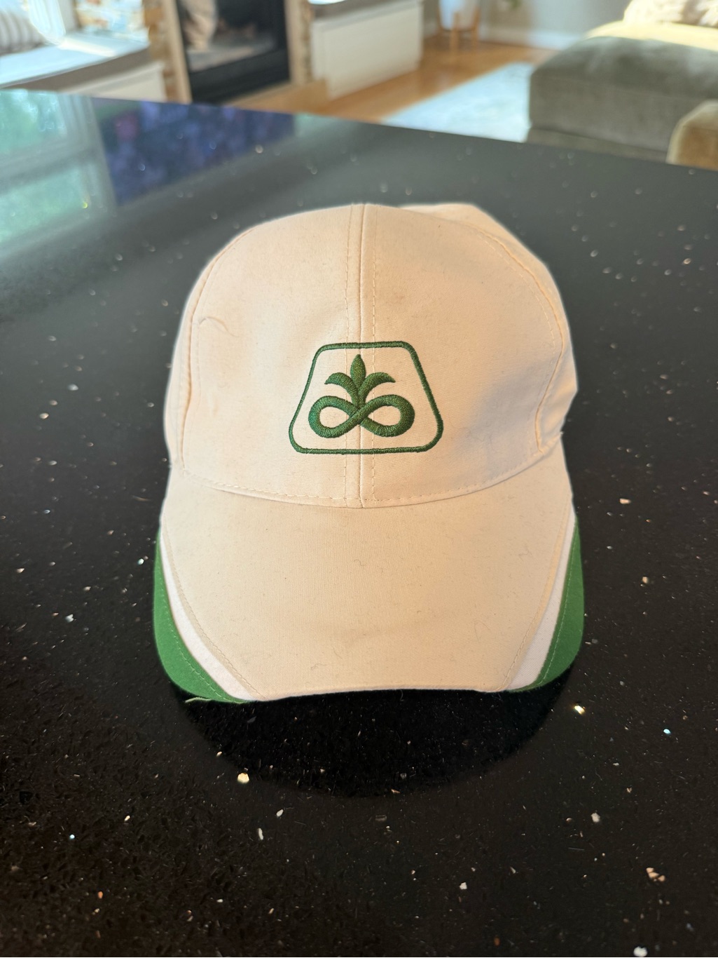 Beige And Green Embroidered Logo Baseball Cap